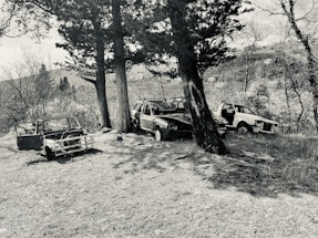 Three abandoned, rusted cars are scattered in a grassy area surrounded by trees. The vehicles are deteriorated, with missing parts and doors open. The scene conveys a sense of neglect and abandonment.