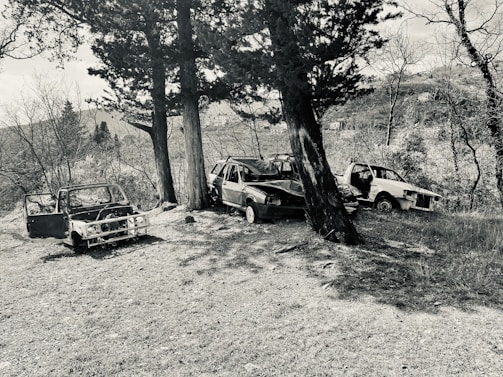 Three abandoned, rusted cars are scattered in a grassy area surrounded by trees. The vehicles are deteriorated, with missing parts and doors open. The scene conveys a sense of neglect and abandonment.
