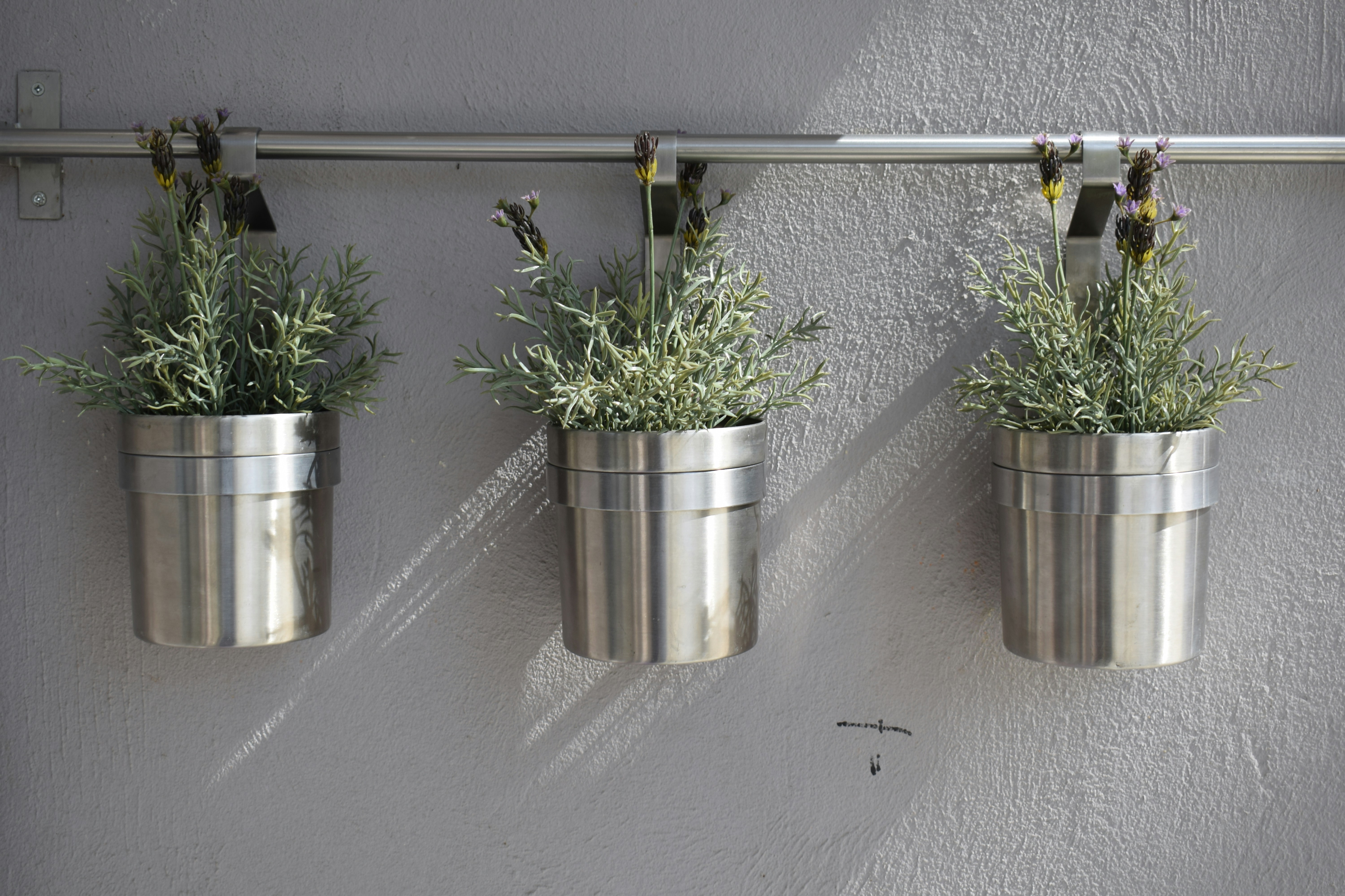 Minimalist Wall Hooks With Hanging Plant Pots