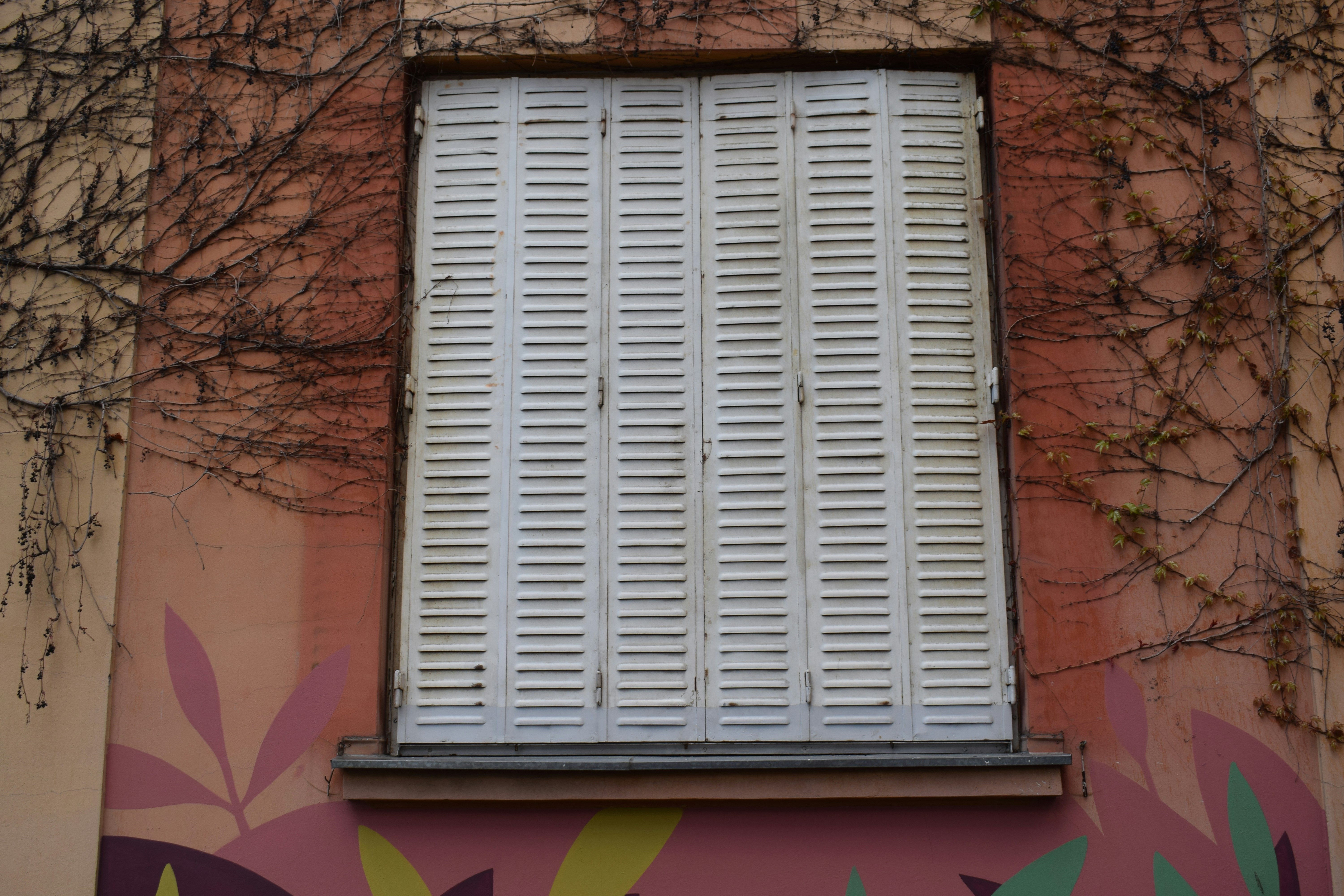 white wooden window frame on brown brick wall