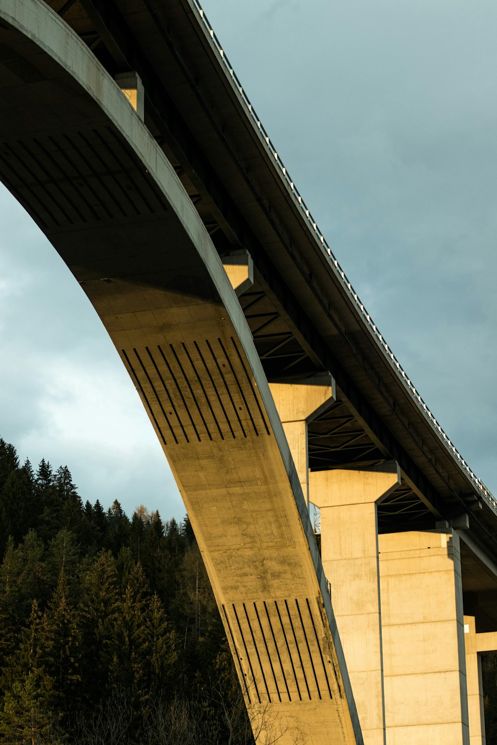 brown concrete bridge over green trees during daytime