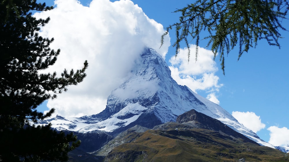 green tree on brown and green mountain under white clouds and blue sky during daytime