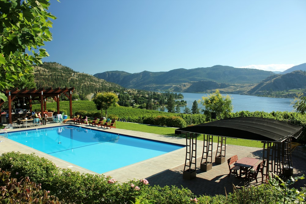 swimming pool near green trees during daytime