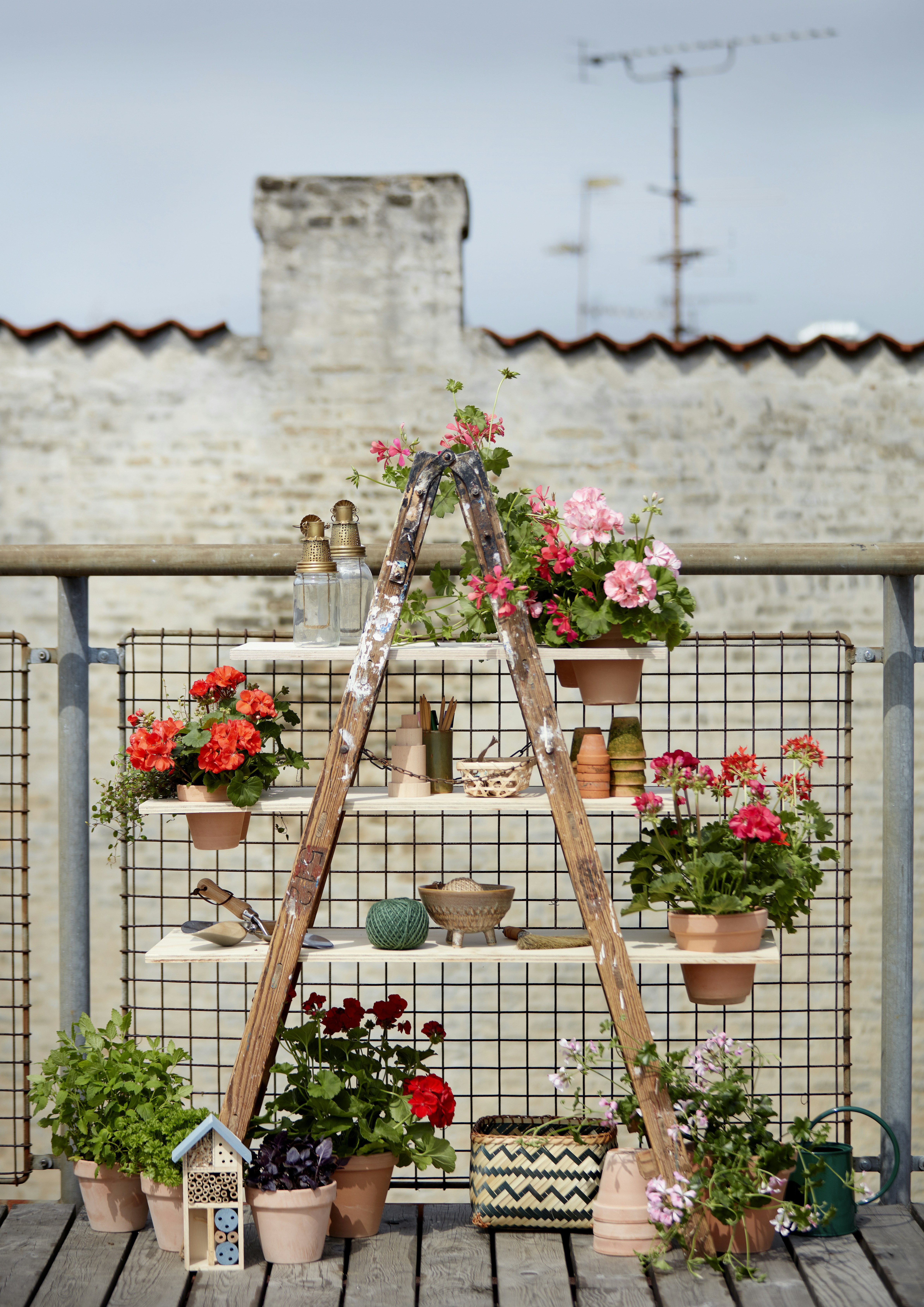 pink and white flowers on brown wooden hanging pot