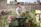 Photo of a cheerful young woman tending to vibrant potted herbs on her city rooftop garden.