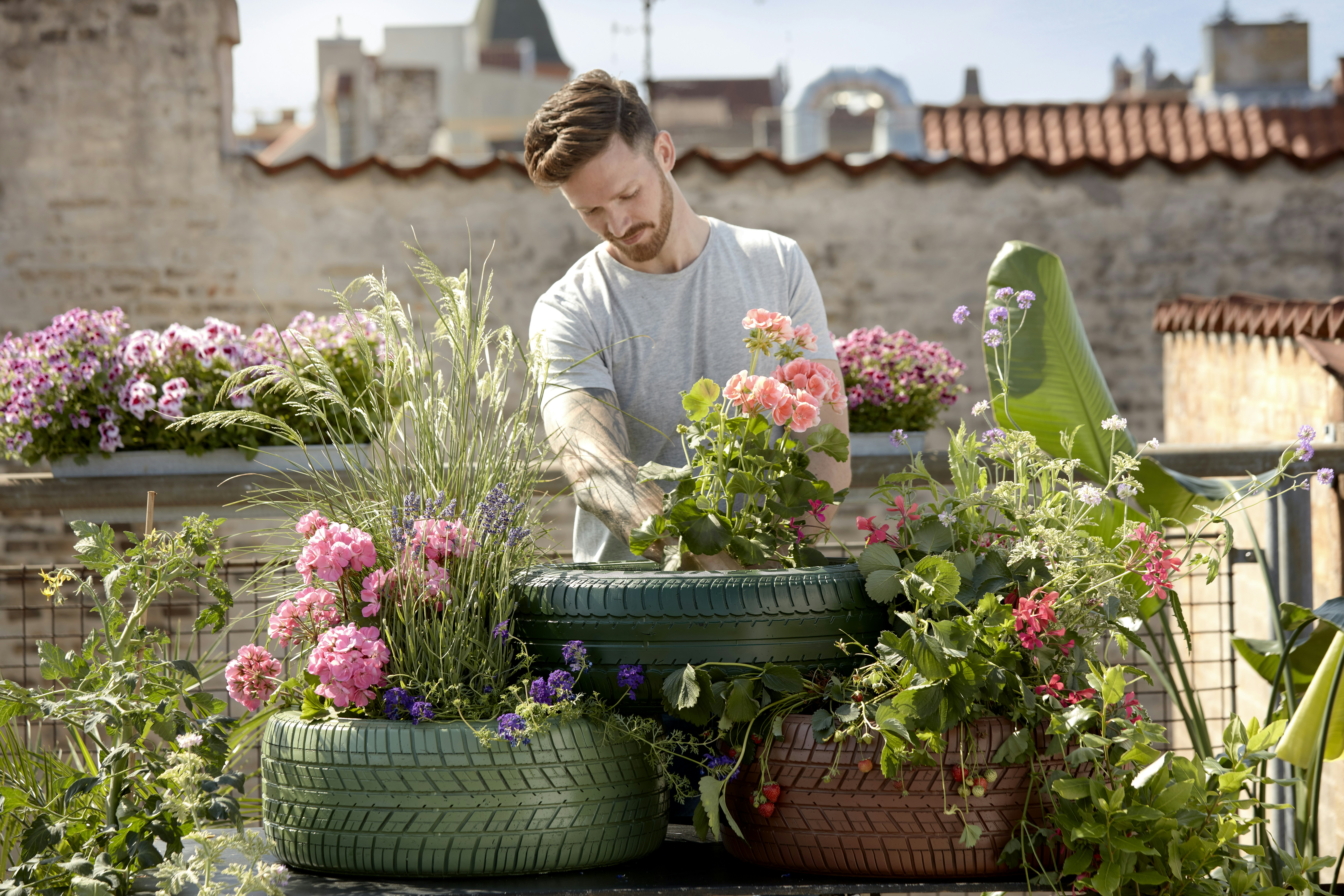 What Are The Best Practices For Watering Plants?