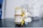 A detailed anatomical model of a human spinal vertebra is displayed on a flat gray surface. The model highlights the bone structure in white with intervertebral discs shown in a beige color. Nerves are represented in yellow, showing the nerves protruding from the spine.