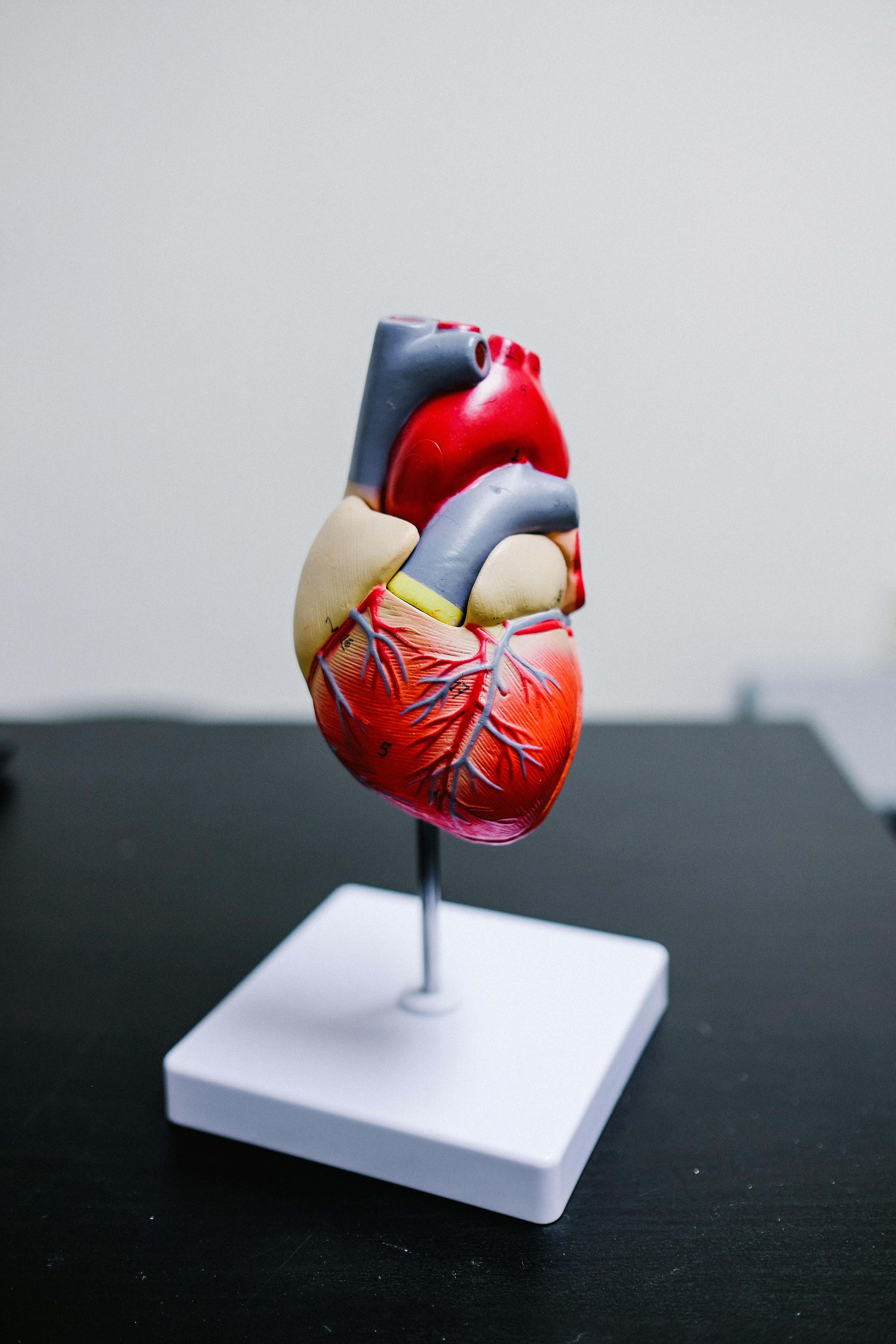 Heart Diseases Defined: Unmasking the Silent Killer