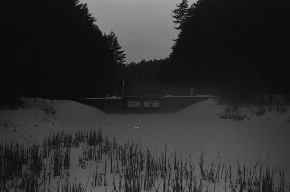 grayscale photo of house near lake surrounded by trees
