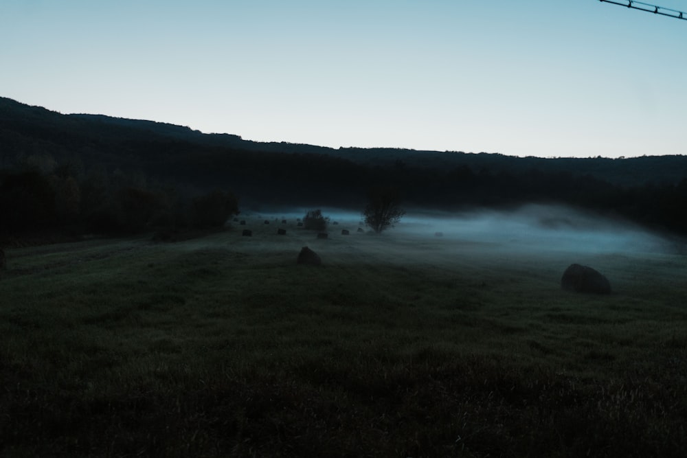 Grünes Grasfeld in der Nähe des Sees unter blauem Himmel tagsüber