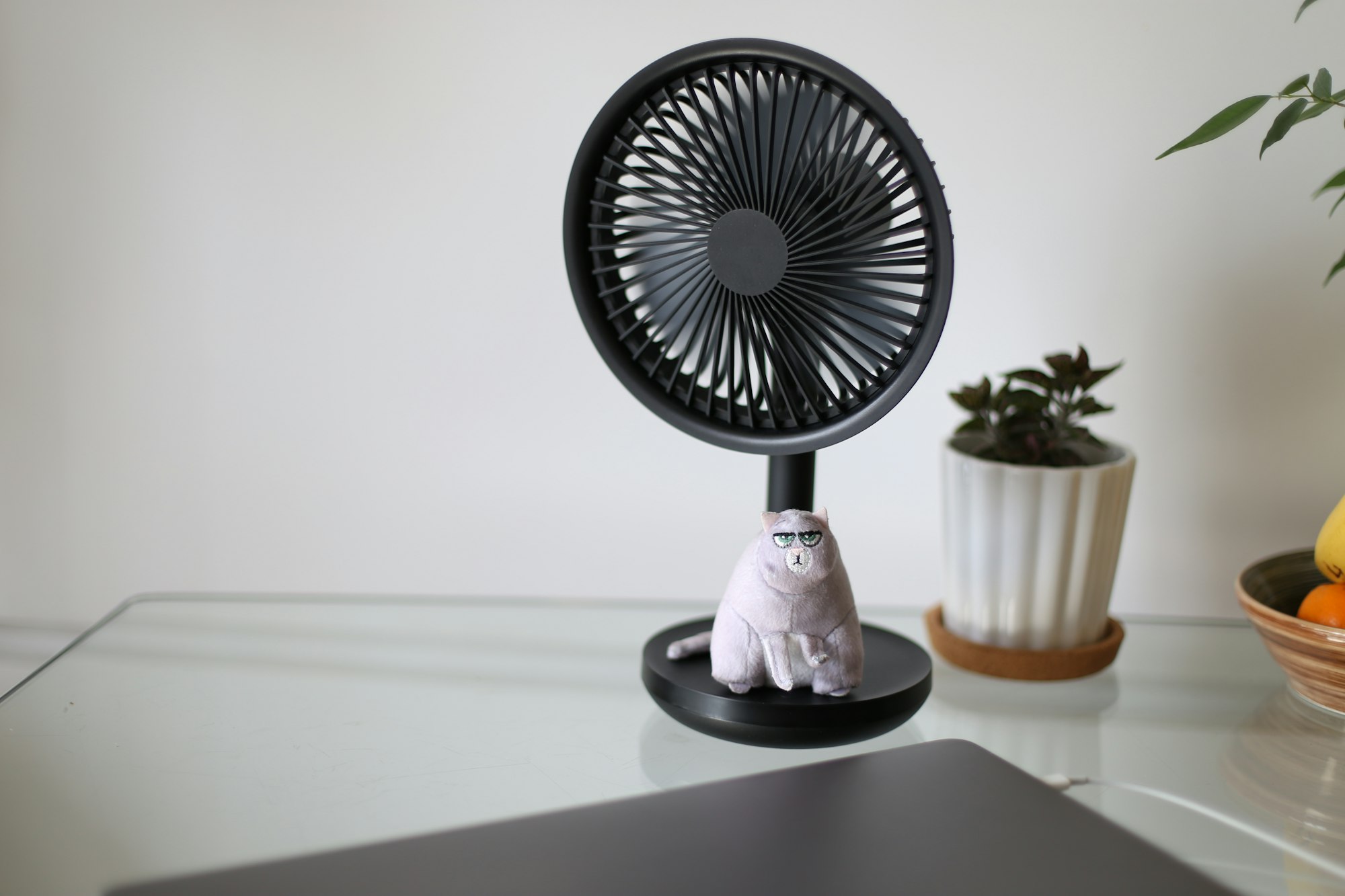 Use a fan to keep cool at home.