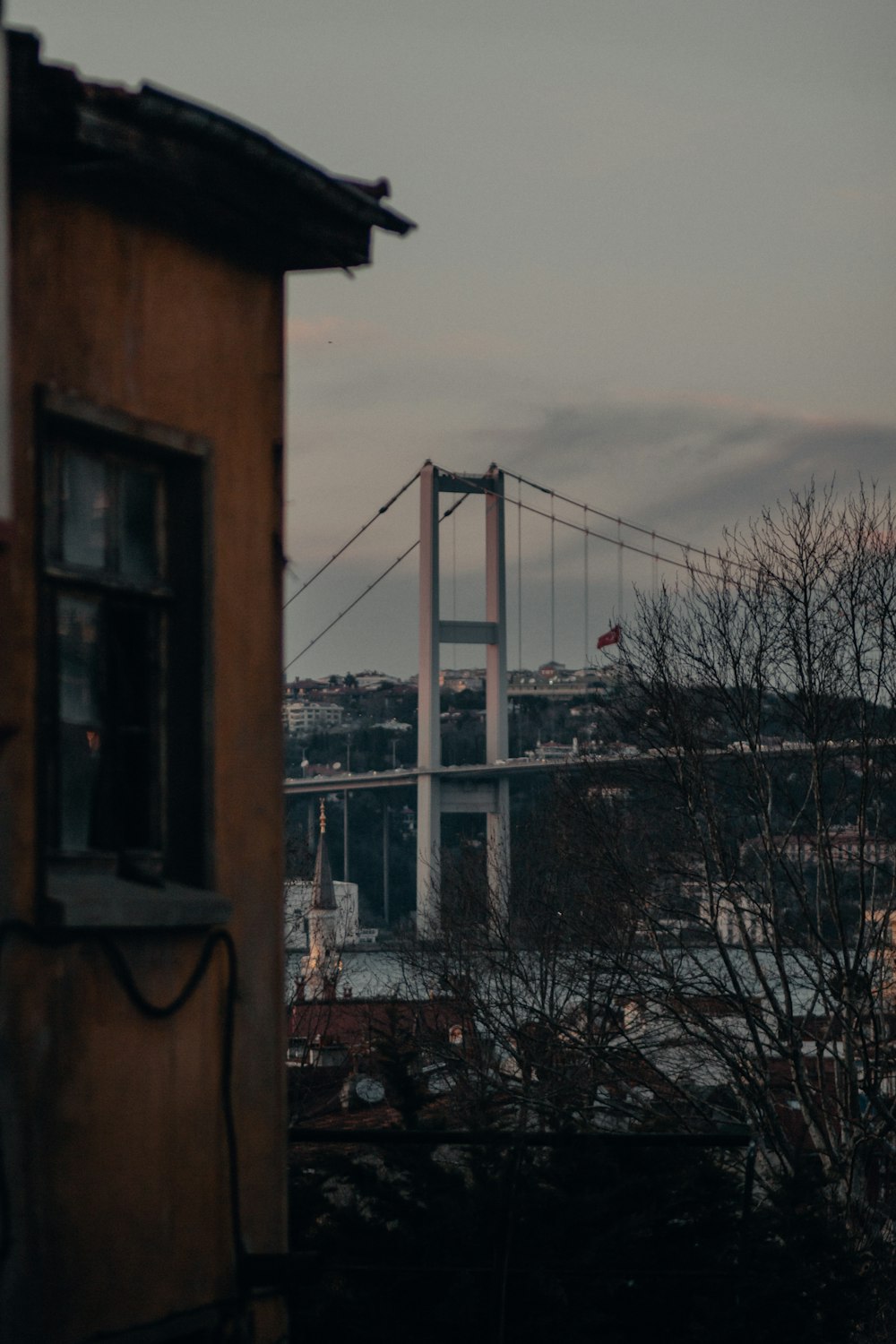 árvore nua marrom perto da ponte durante o dia