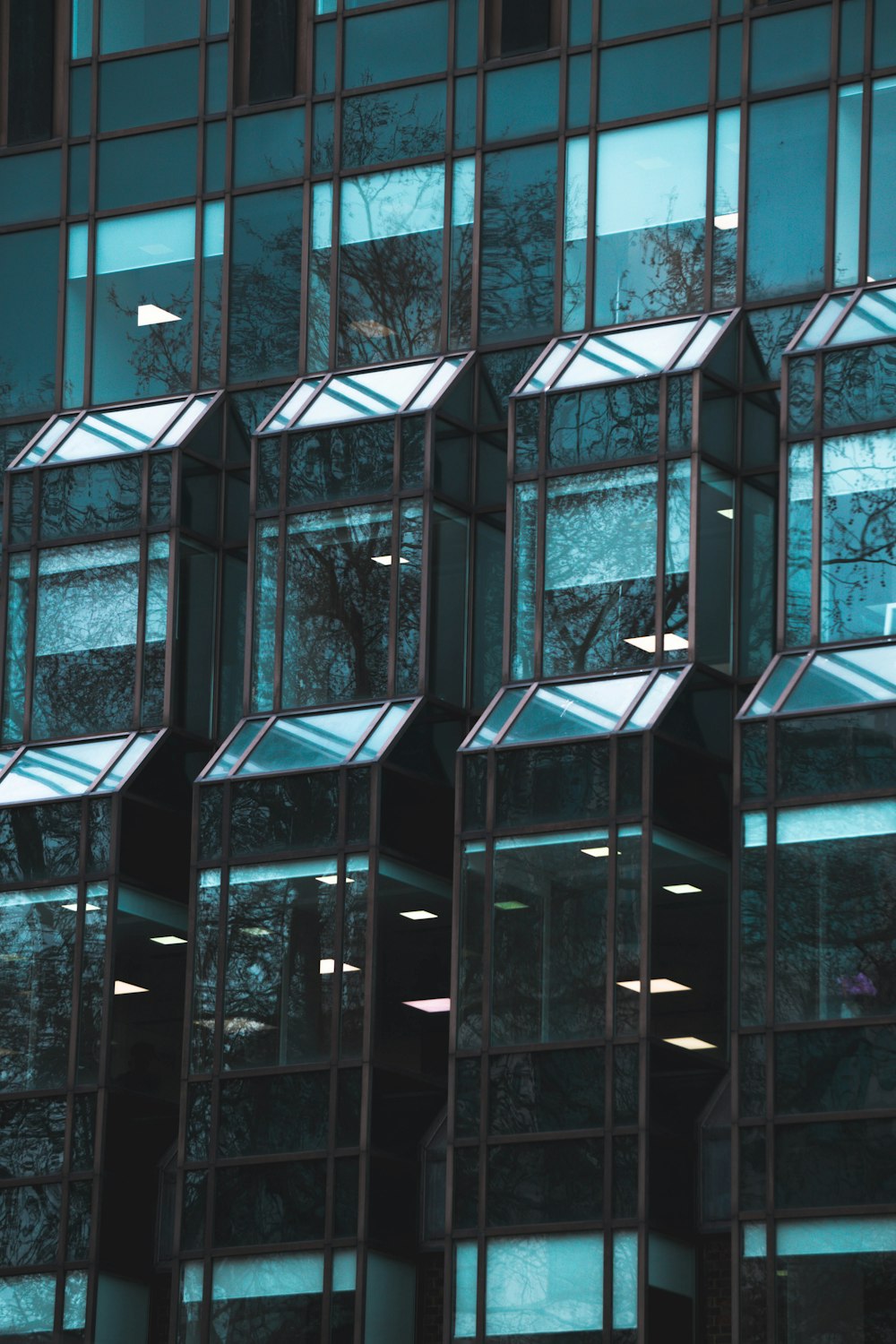 green and black glass windows