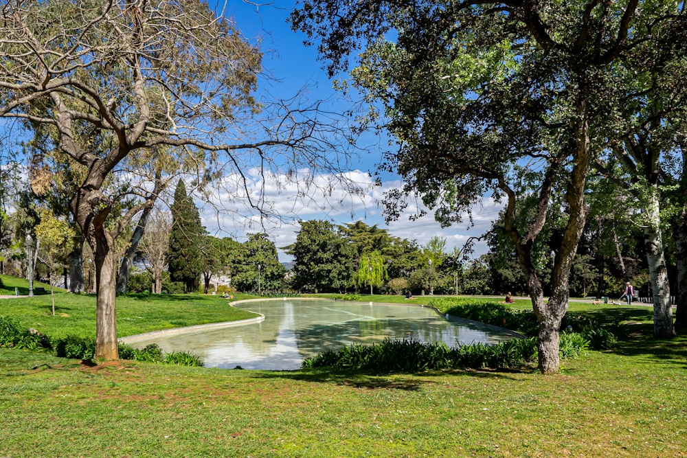 green grass field with trees and river in distance