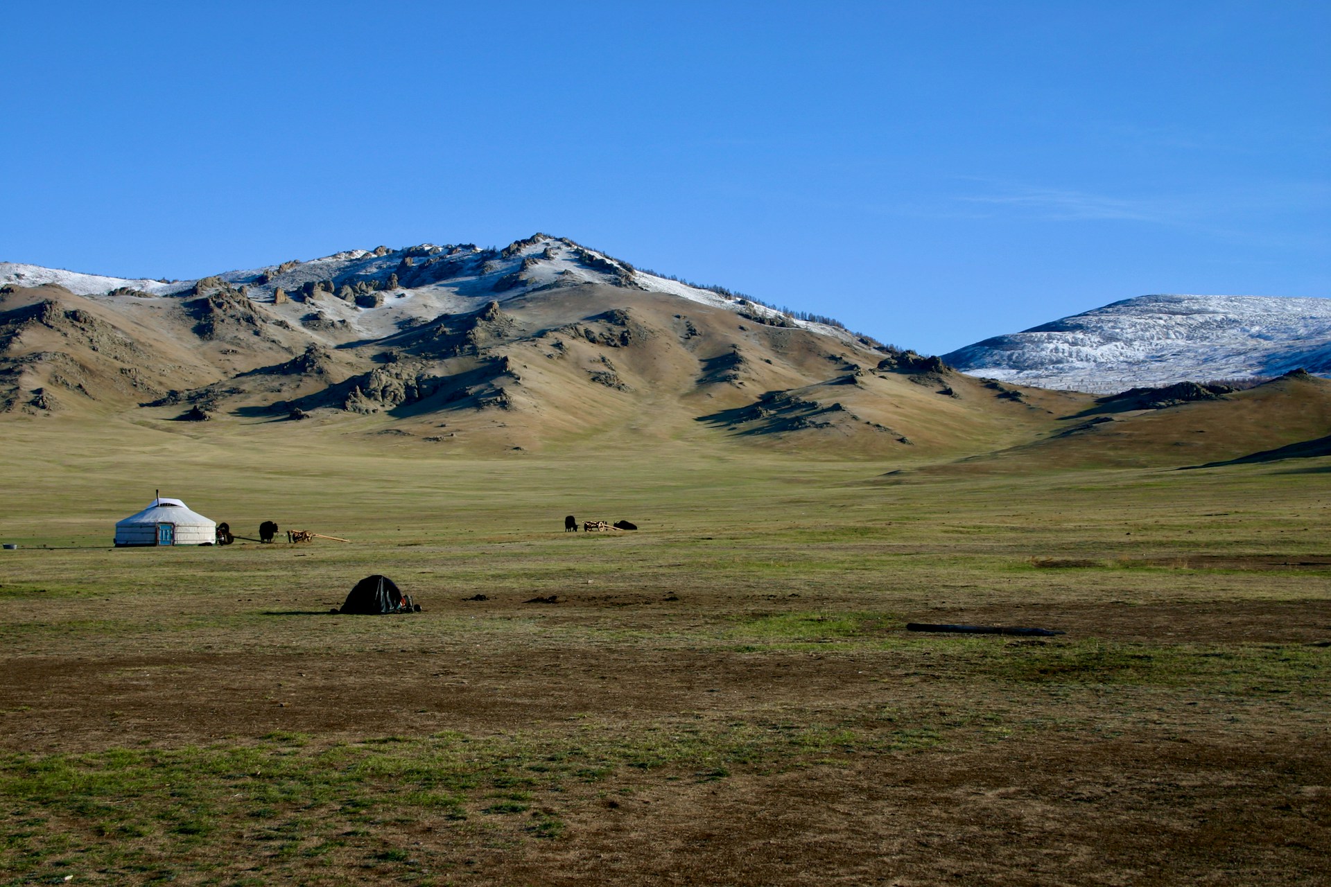 green grass field near mountain under blue sky during daytime