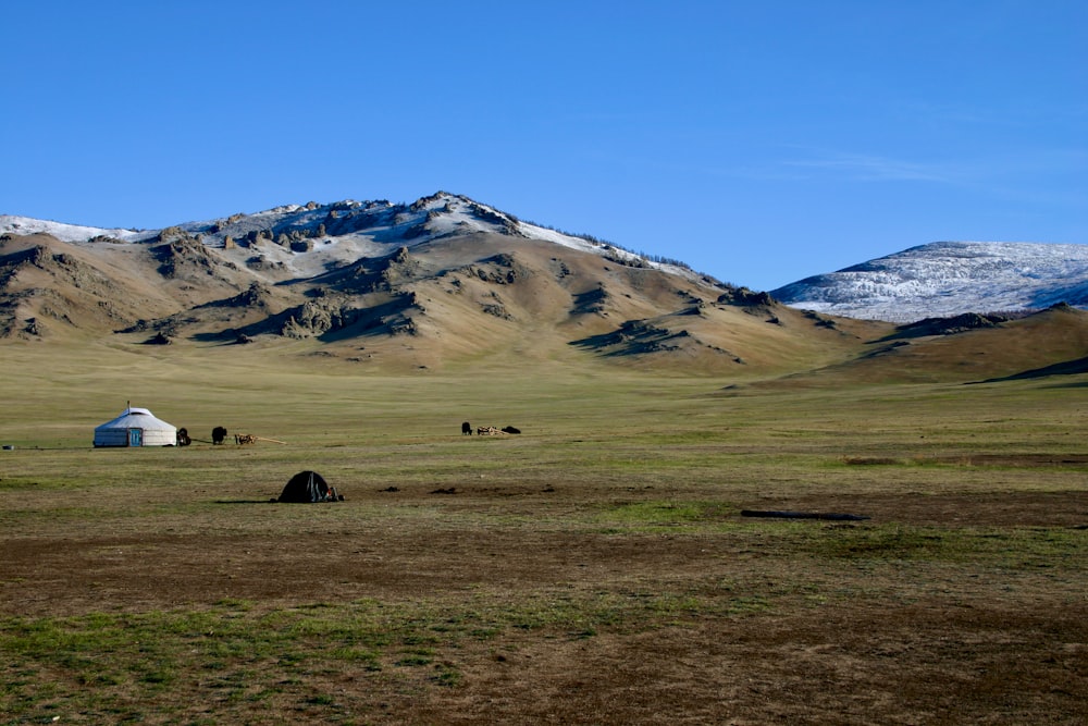 green grass field near mountain under blue sky during daytime