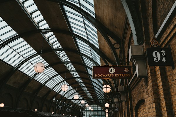 Harry Potter Asa Replika - The Noble Collection (Harry Potter)