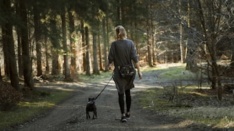 woman in black jacket walking with black labrador retriever on pathway during daytime