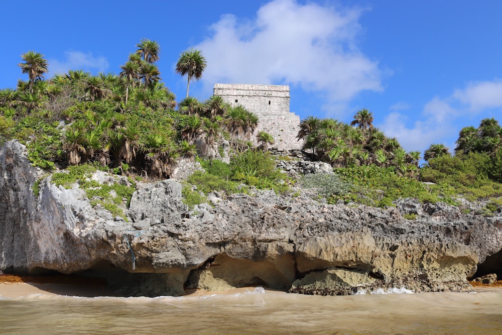 árboles verdes en la colina rocosa marrón bajo el cielo azul durante el día