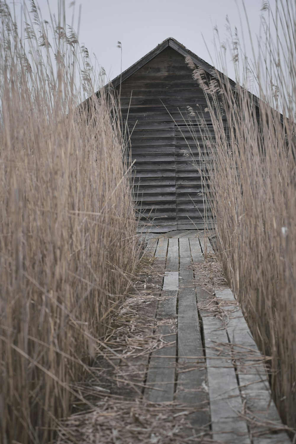 brown wooden bridge in between brown grass field during daytime