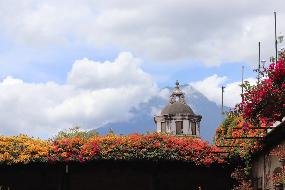 edifício de concreto branco e cinza cercado por flores sob nuvens brancas e céu azul durante o dia