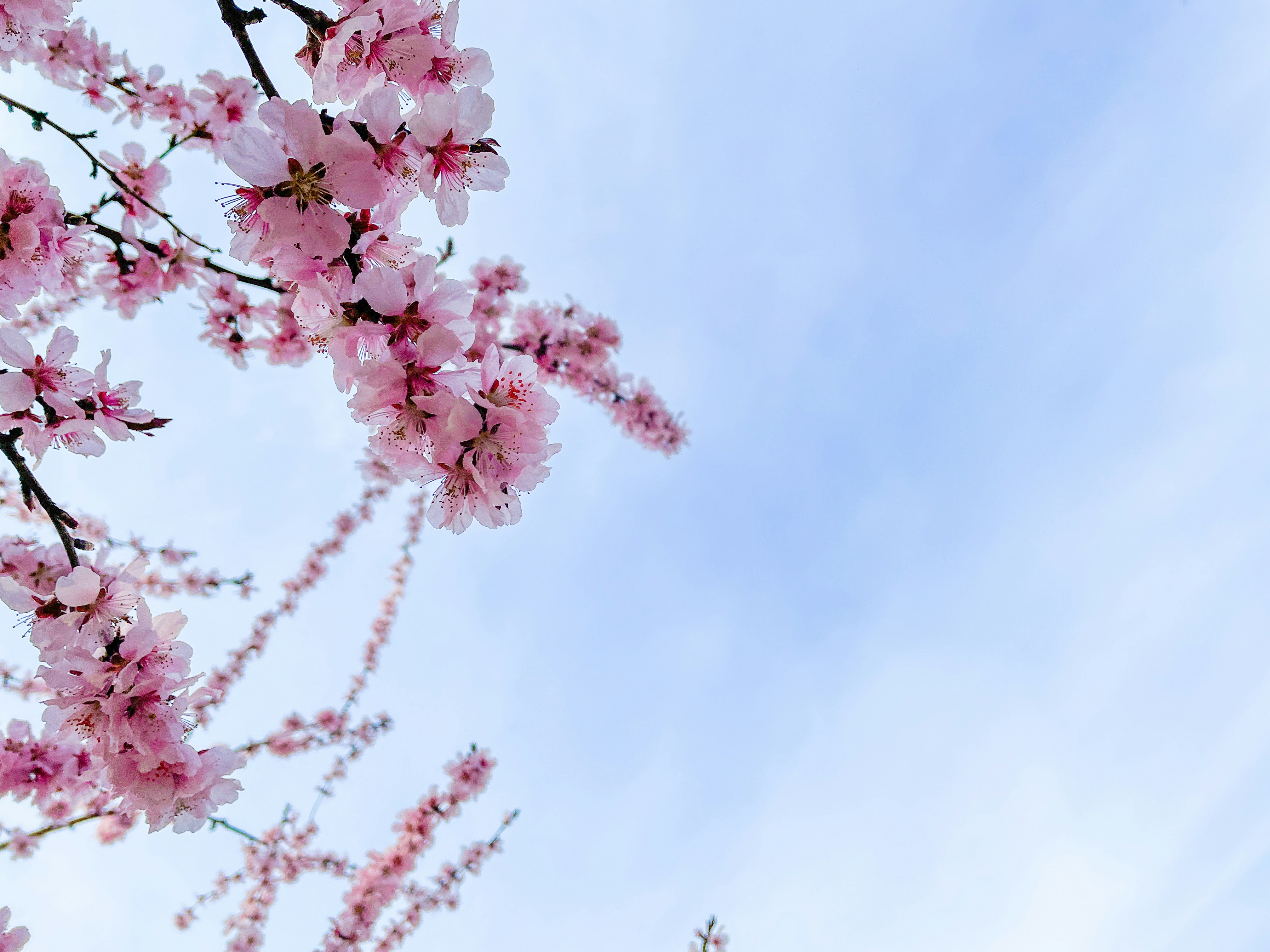 Photo by thecyclichedgehog