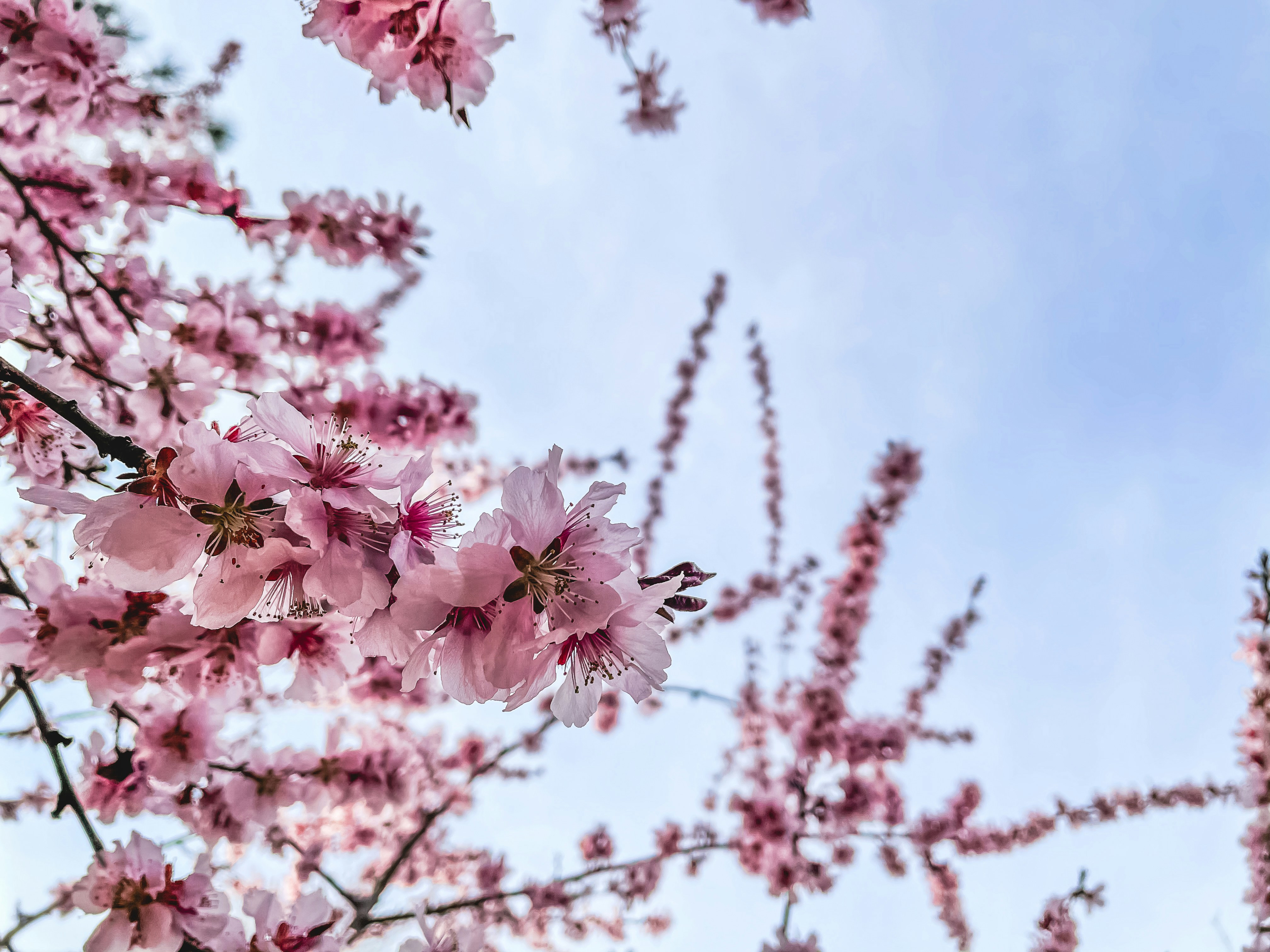 Photo by thecyclichedgehog