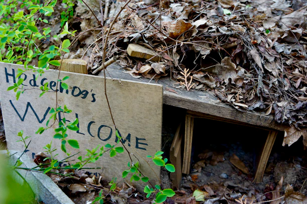 A cozy garden corner with a small wooden hedgehog house nestled among flowers and leaves.