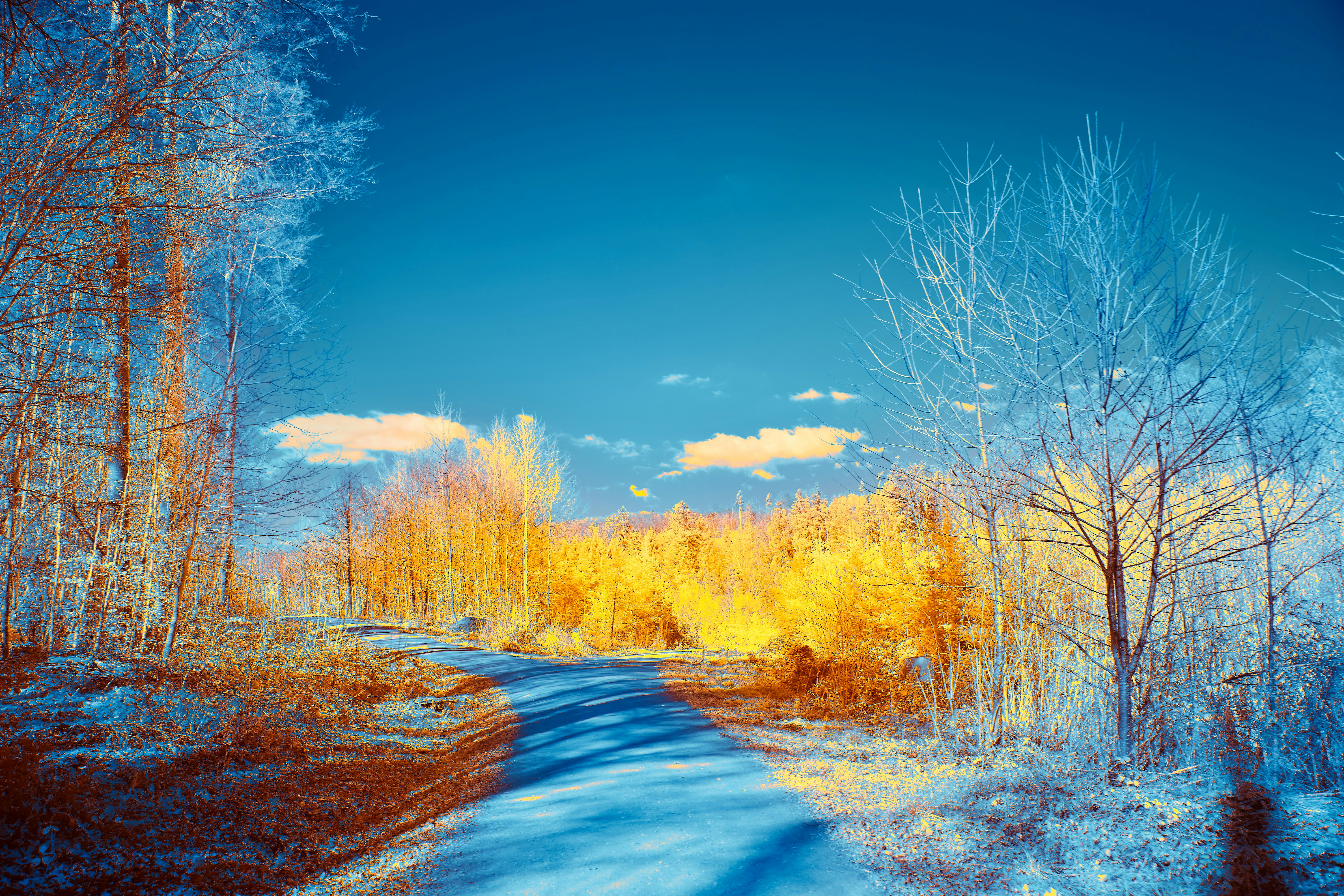 Photo by wolfgang_hasselmann