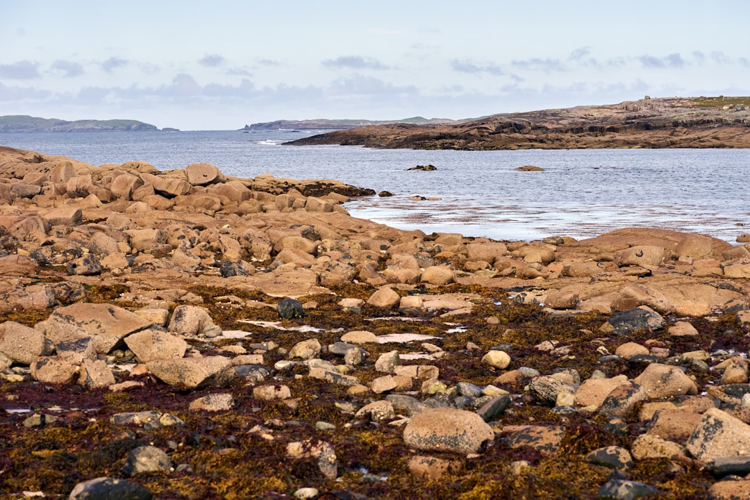 brown rocks near body of water during daytime