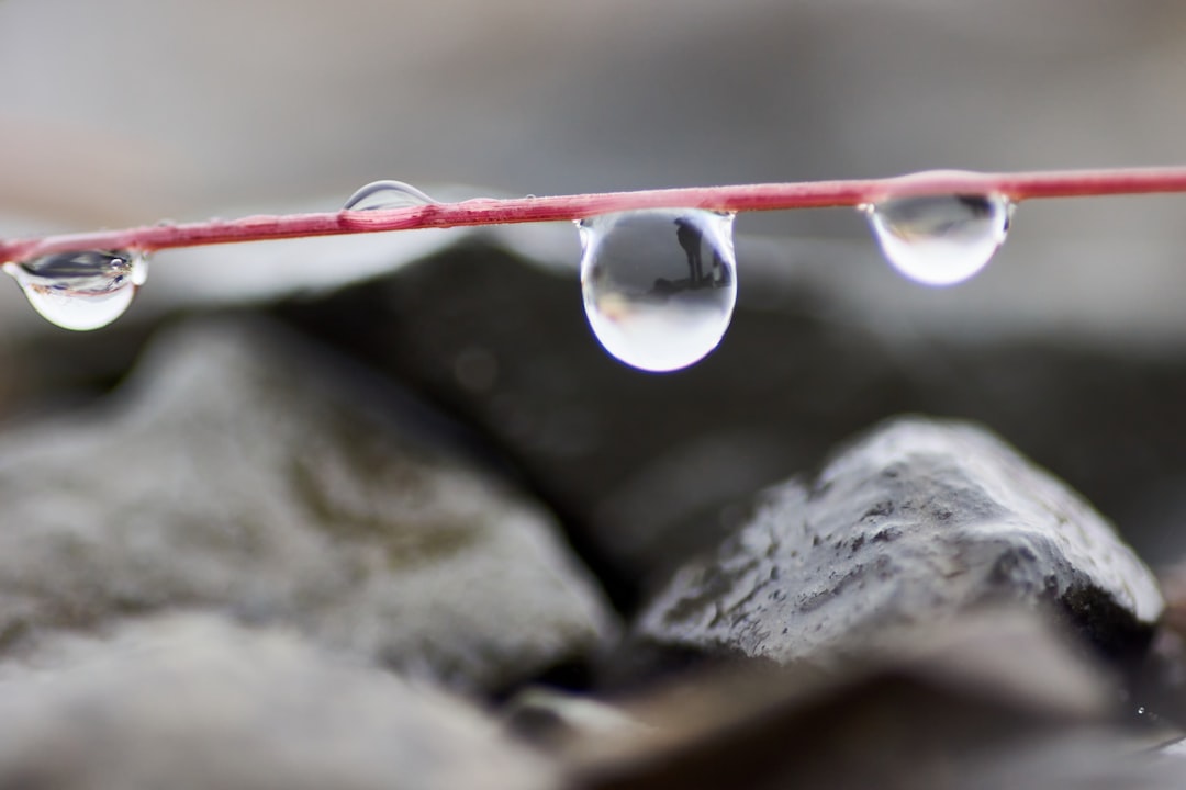 water dew on red and silver pin