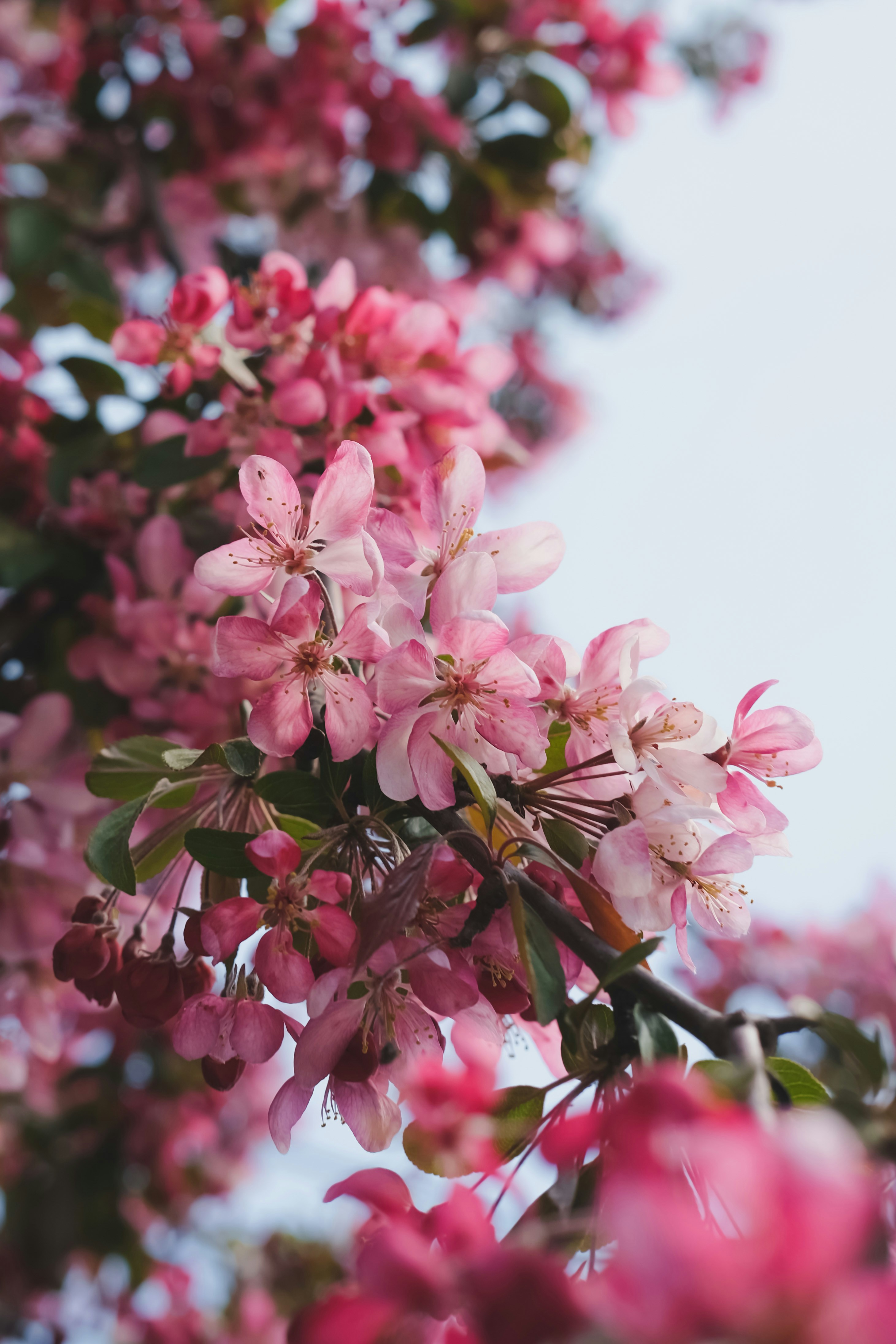 Photo by create4eyes