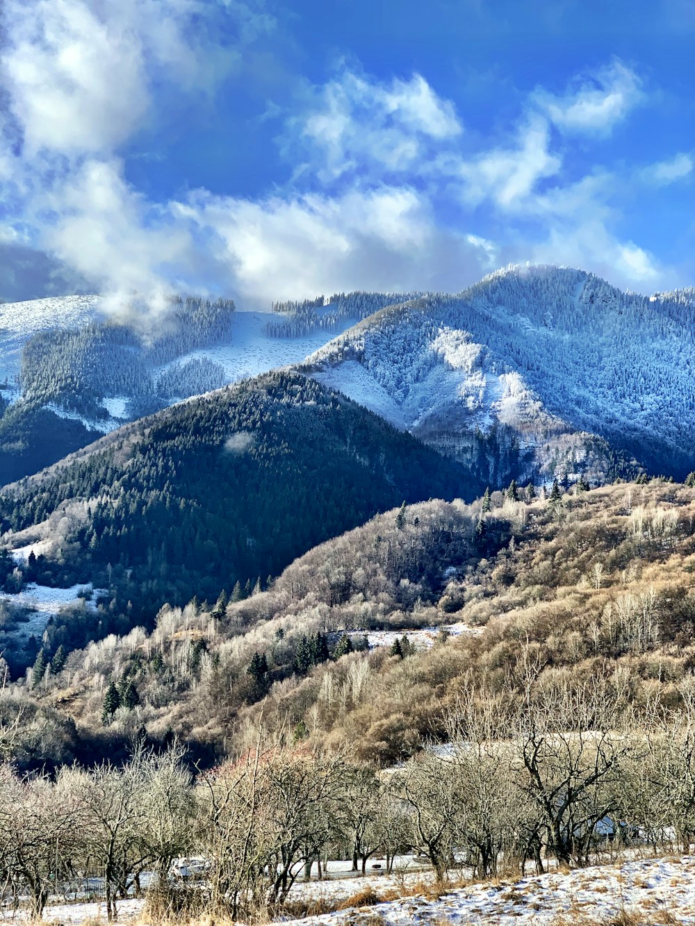 Grünes Grasfeld in der Nähe des schneebedeckten Berges tagsüber