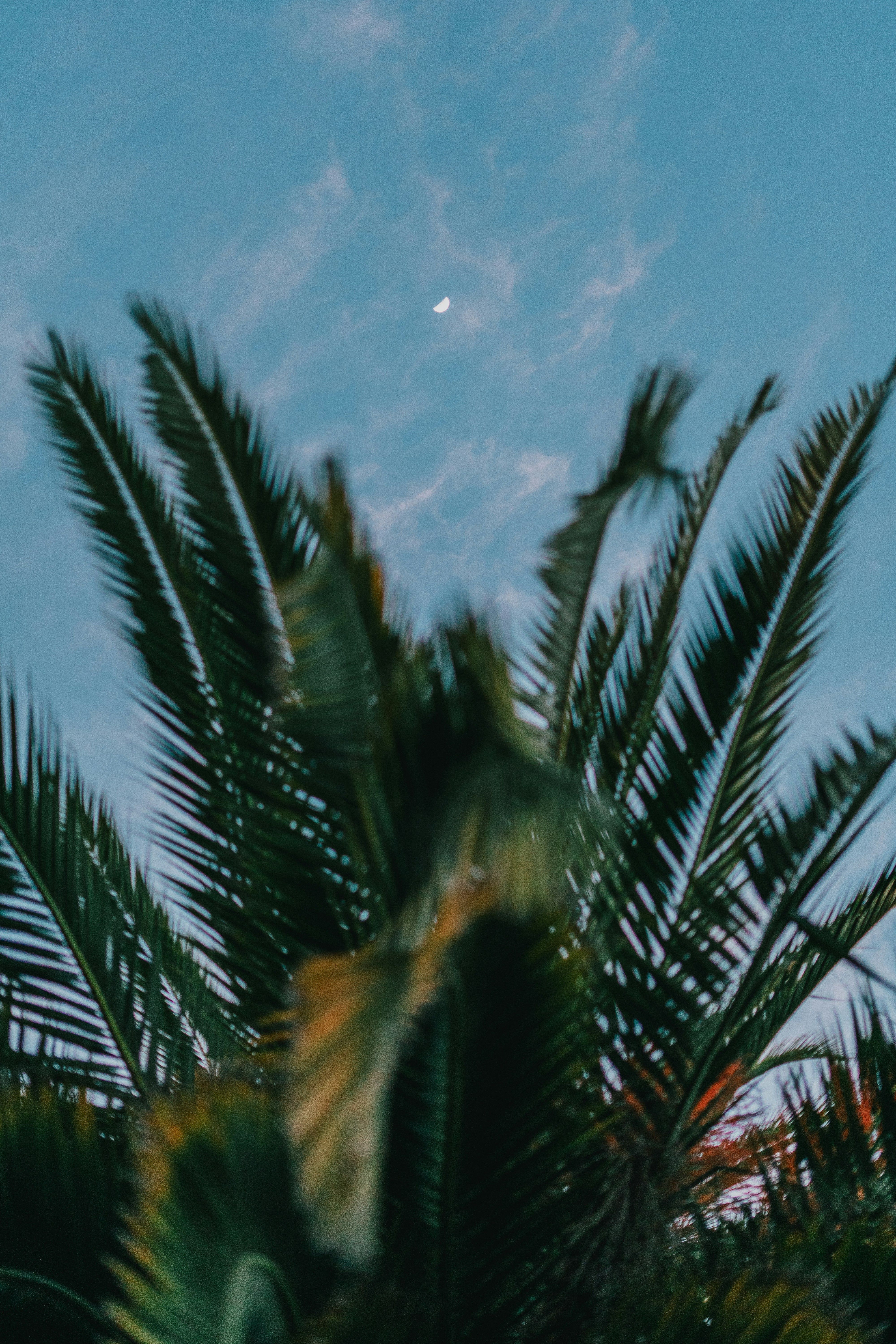 Photo by kalaniparker