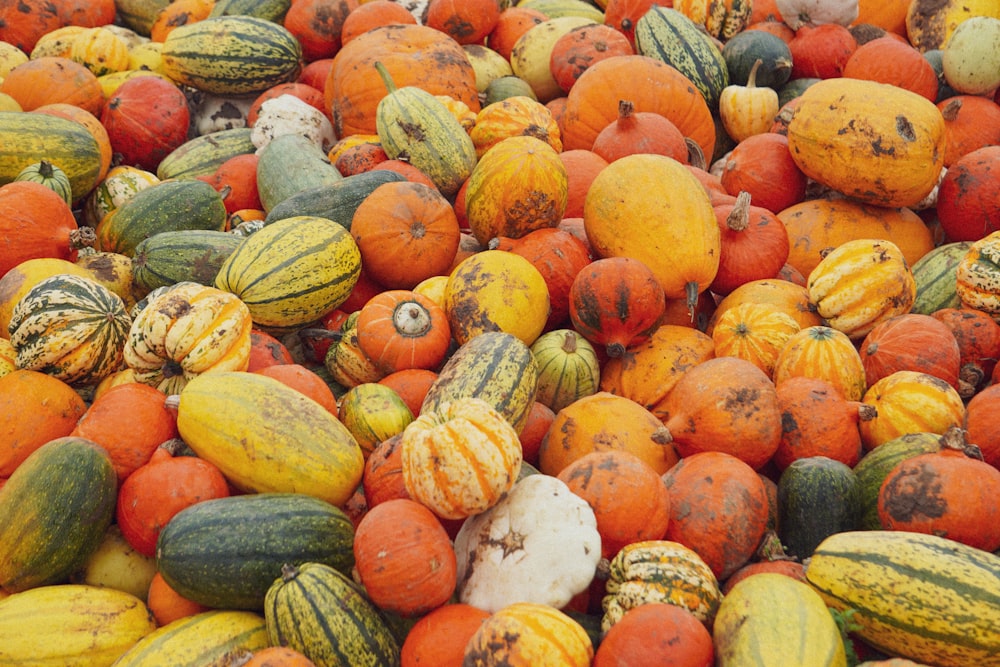 orange and green pumpkins on white surface