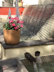 A terracotta pot filled with vibrant pink flowers is placed on the edge of a fountain. Water is cascading from multiple spouts into a clear pool below. In the background, there is a red-painted wall with a textured brick surface and additional water features. The scene is well-lit with natural sunlight, highlighting the colorful flowers and the flowing water.