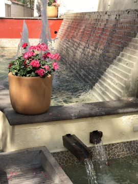 A terracotta pot filled with vibrant pink flowers is placed on the edge of a fountain. Water is cascading from multiple spouts into a clear pool below. In the background, there is a red-painted wall with a textured brick surface and additional water features. The scene is well-lit with natural sunlight, highlighting the colorful flowers and the flowing water.