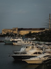 A marina filled with several boats docked in calm water. An industrial building is visible in the background, and palm tree leaves are slightly visible in the foreground.