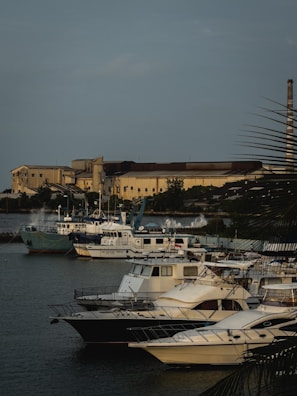 A marina filled with several boats docked in calm water. An industrial building is visible in the background, and palm tree leaves are slightly visible in the foreground.