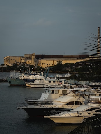 A marina filled with several boats docked in calm water. An industrial building is visible in the background, and palm tree leaves are slightly visible in the foreground.