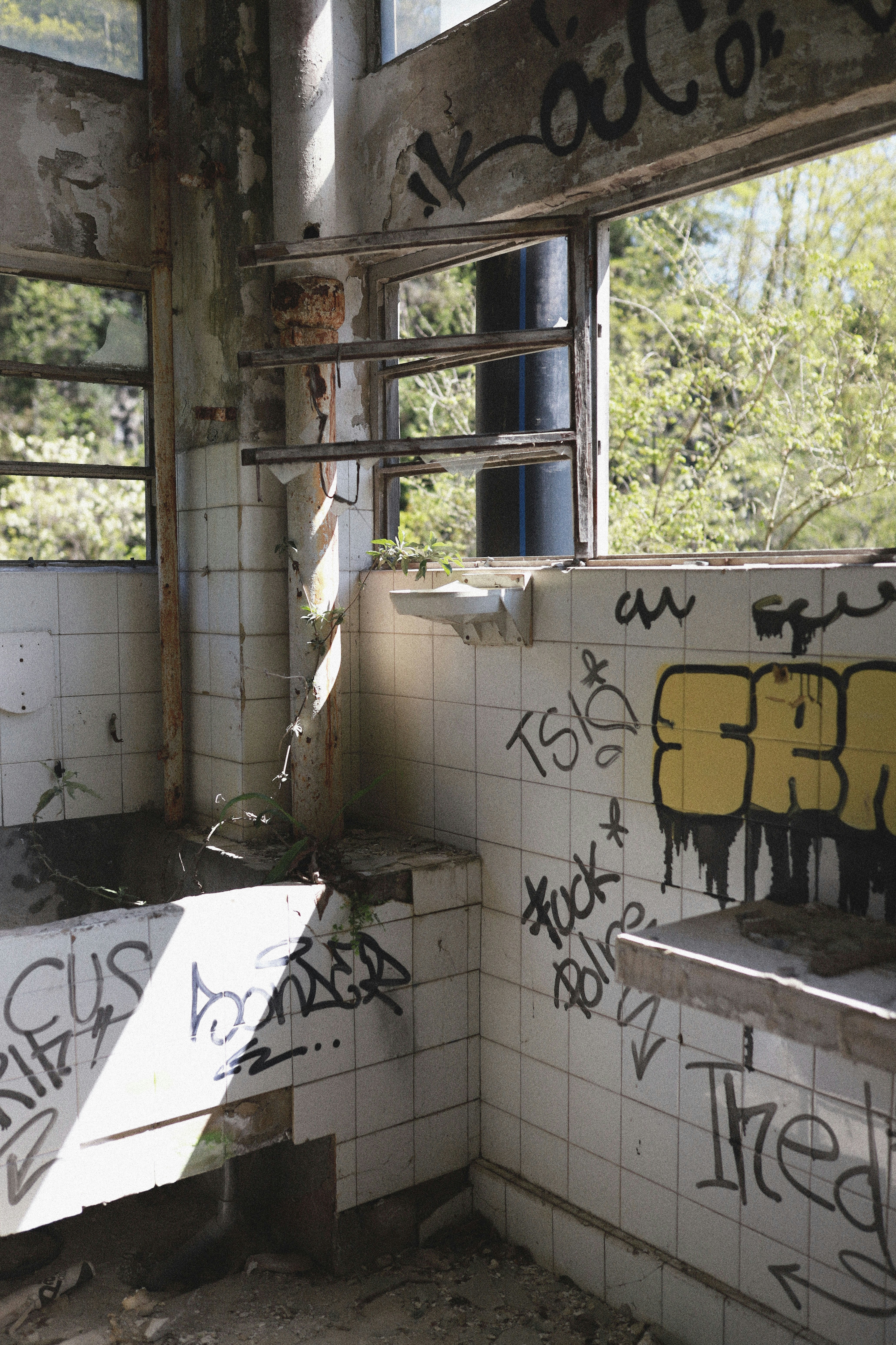 Photo by paulgaraizarbosch