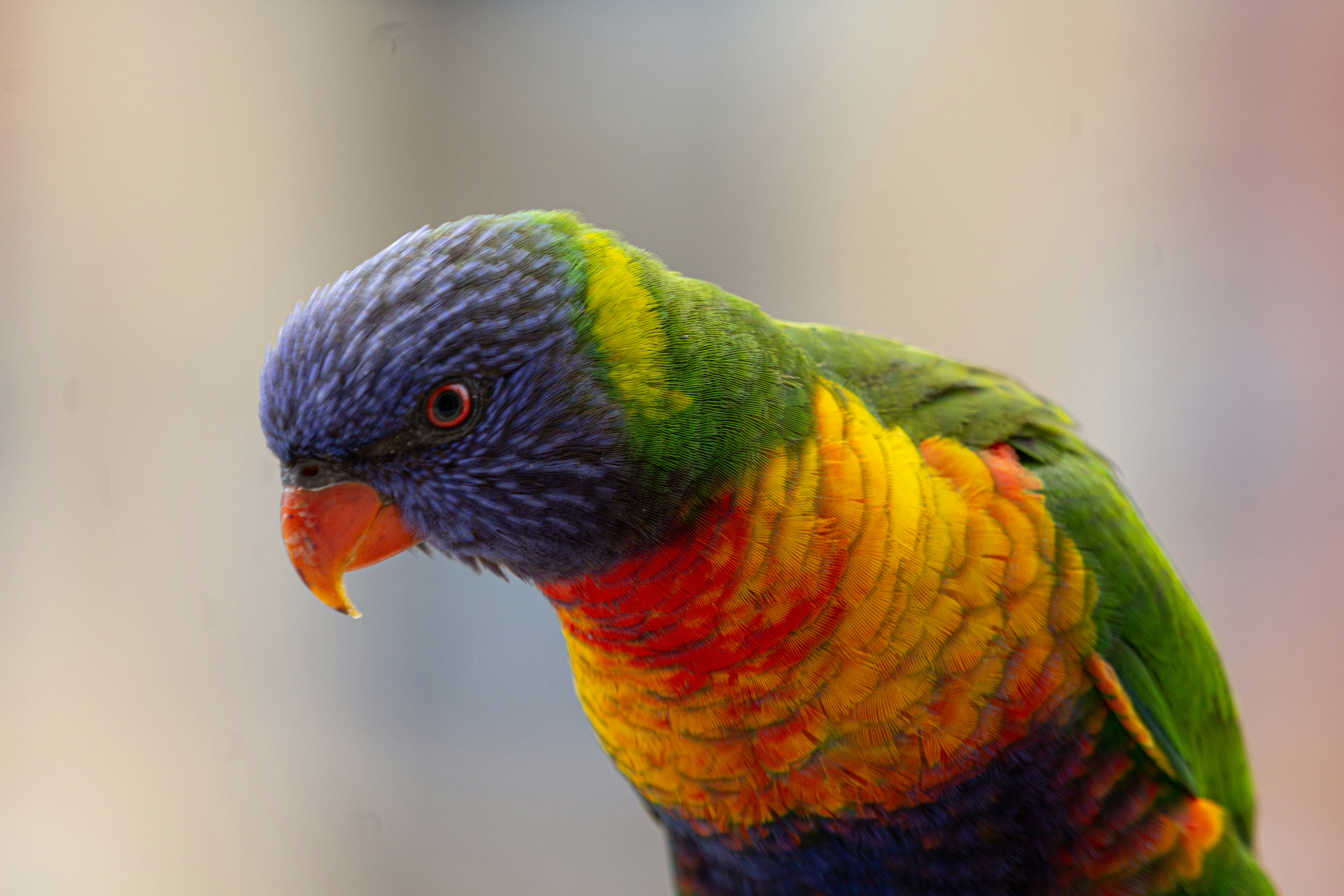 Photo by martin_dav1d