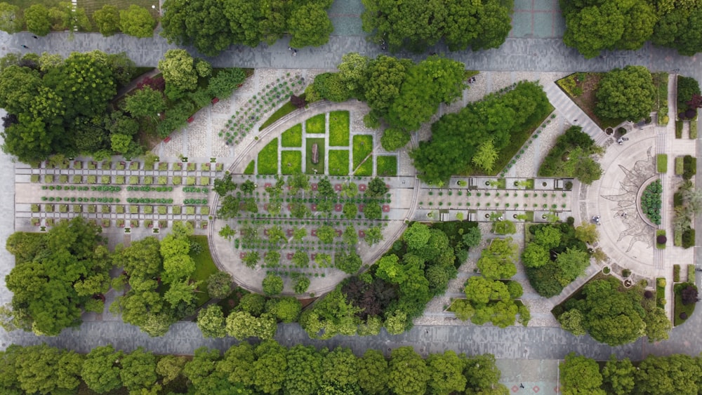 aerial view of green trees and white building