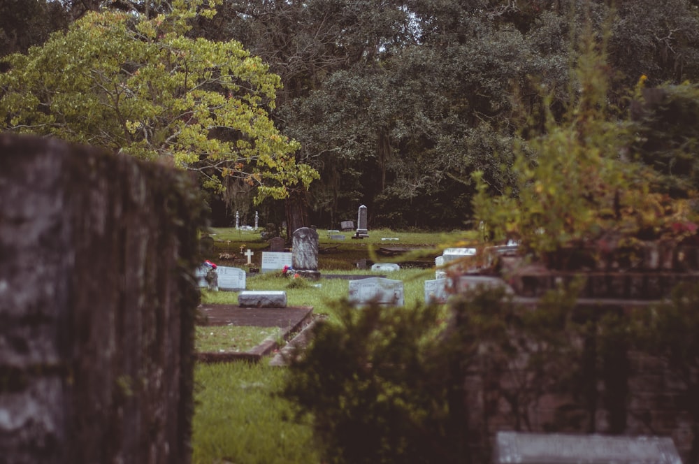 a cemetery with trees in the background