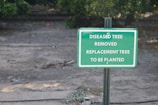 A green sign with white text stating 'DISEASED TREE REMOVED REPLACEMENT TREE TO BE PLANTED' is placed in a dirt area with sparse grass and some scattered debris. There are trees and greenery in the blurred background.