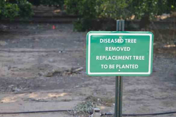A green sign with white text stating 'DISEASED TREE REMOVED REPLACEMENT TREE TO BE PLANTED' is placed in a dirt area with sparse grass and some scattered debris. There are trees and greenery in the blurred background.