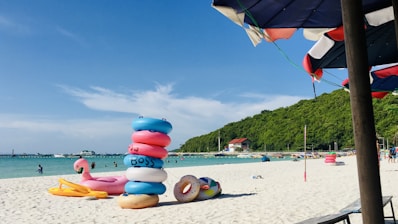 people on beach during daytime