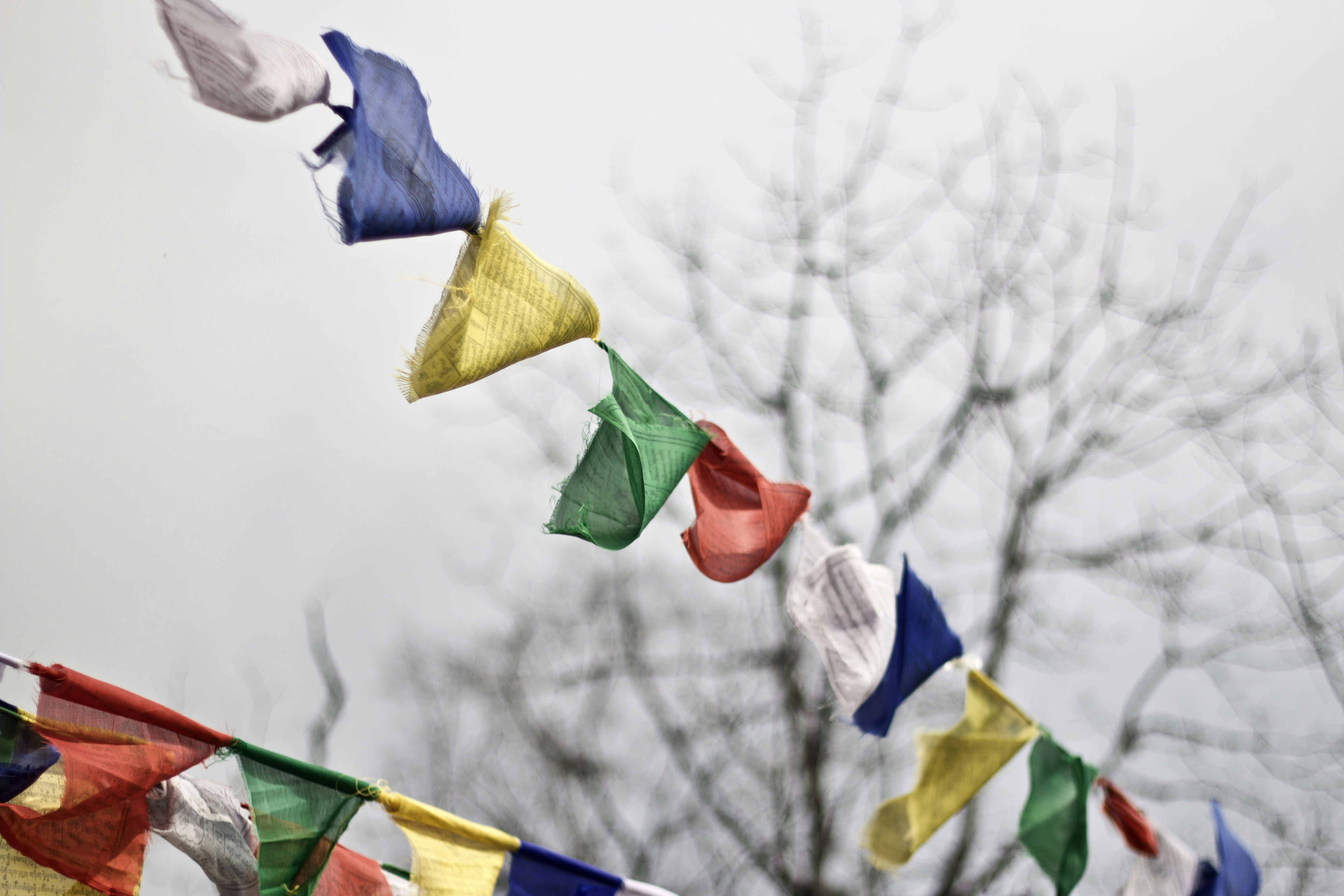 gelb, blau, grüne und rote Flagge