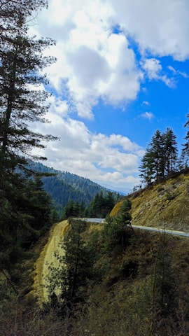 A winding mountain road cutting through lush green forests under a bright blue sky.