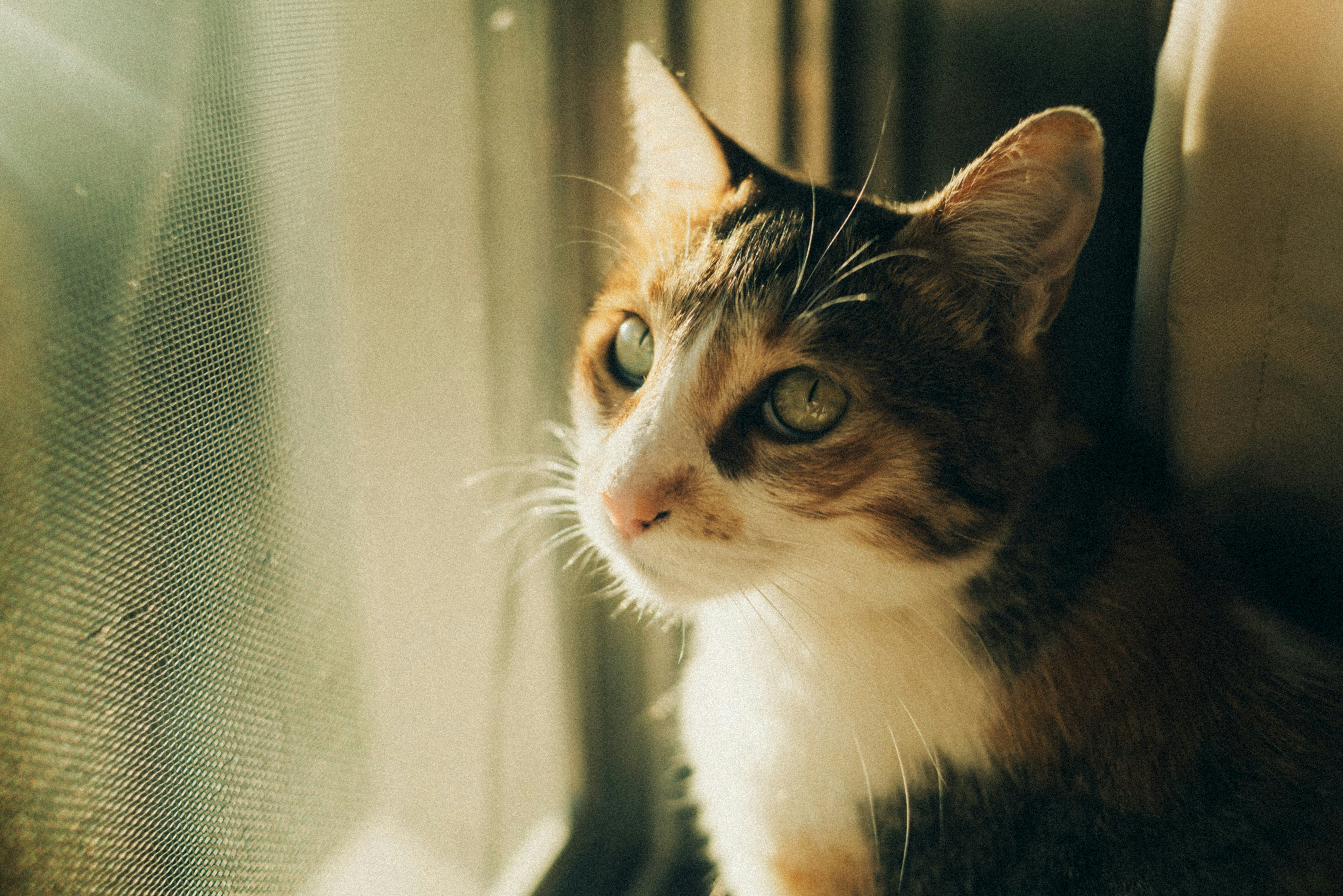 Photo by agustinfernandez